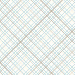 Wide Back Bee Backings & Borders Plaid Aqua