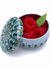 Load image into Gallery viewer, Jar with soap berries
